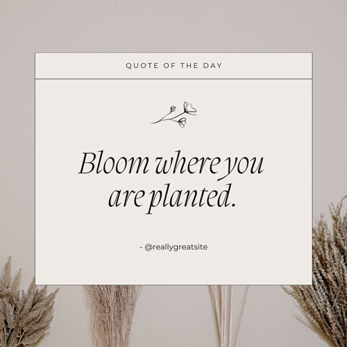 Canva Earthy Neutral Quote of the Day Instagram Post
