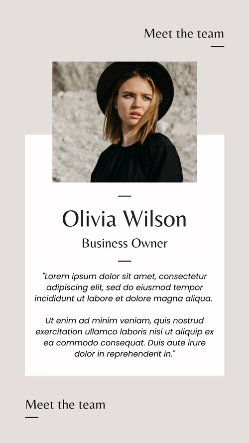 Canva Beige Modern Meet The Team Business Instagram Story