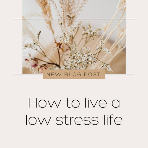 Canva Beige Aesthetic New Blog Post Announcement Instagram Post